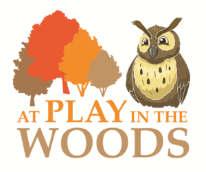 Toddler days and under 11 forest school