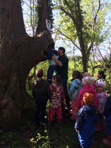 forest school
