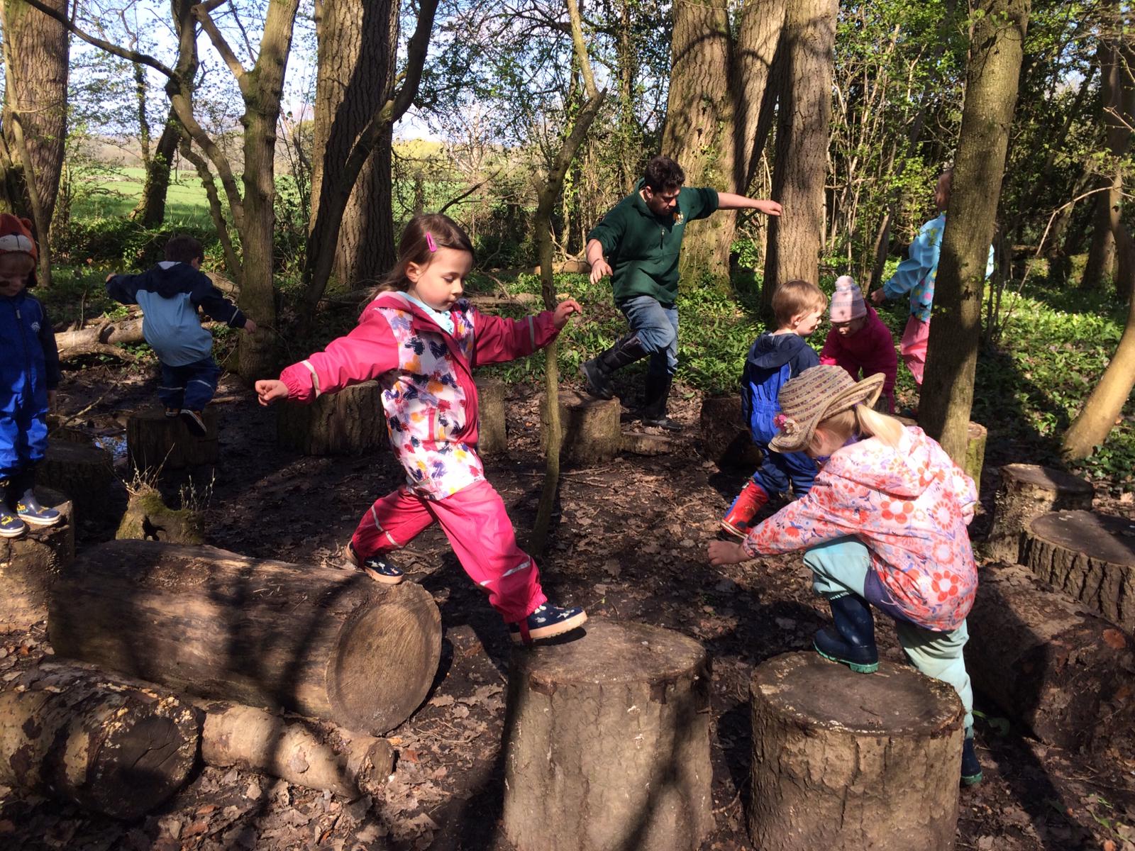 Clevedon forest fun