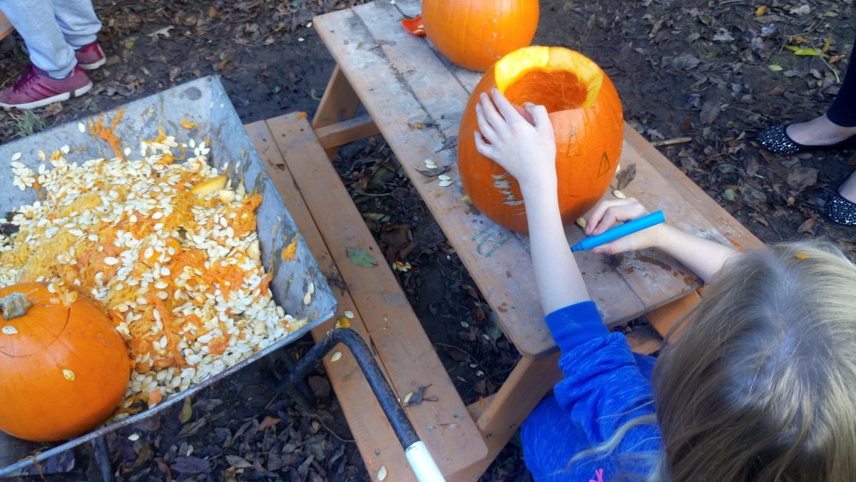 Clevedon halloween pumpkin