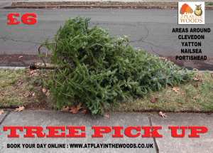 Tree pick up North Somerset