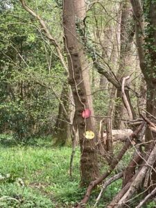 bristol egg hunt