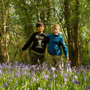 Egg hunt bristol